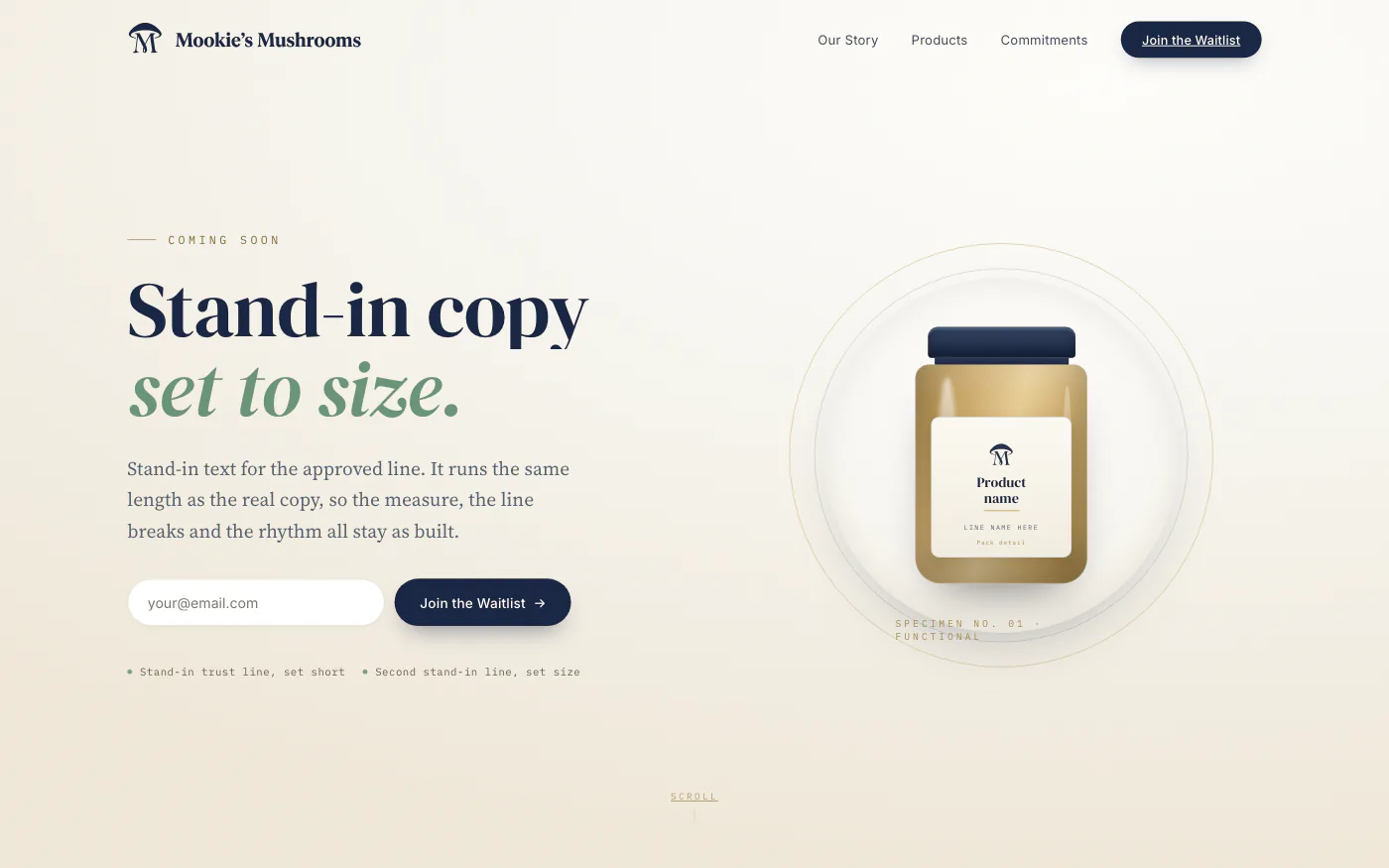 The built hero: the header, a two-line serif headline with a sage italic second line, a sub line, an email field with a navy Join the Waitlist button, and an amber jar in a specimen ring.