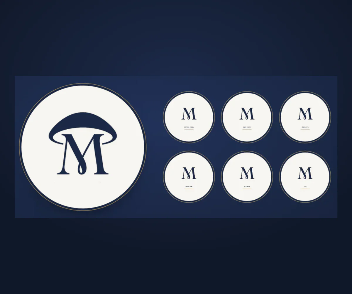 The social kit on navy: a large circular avatar with the navy mark on cream, and round highlight covers carrying the M monogram.